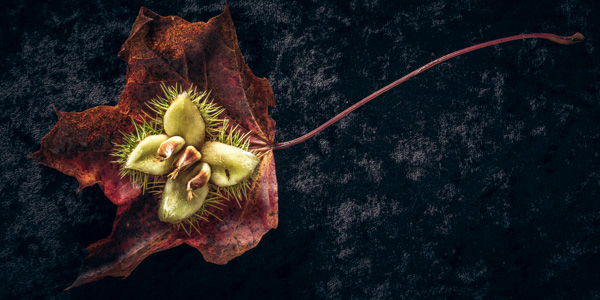 User experience research and strength of evidence