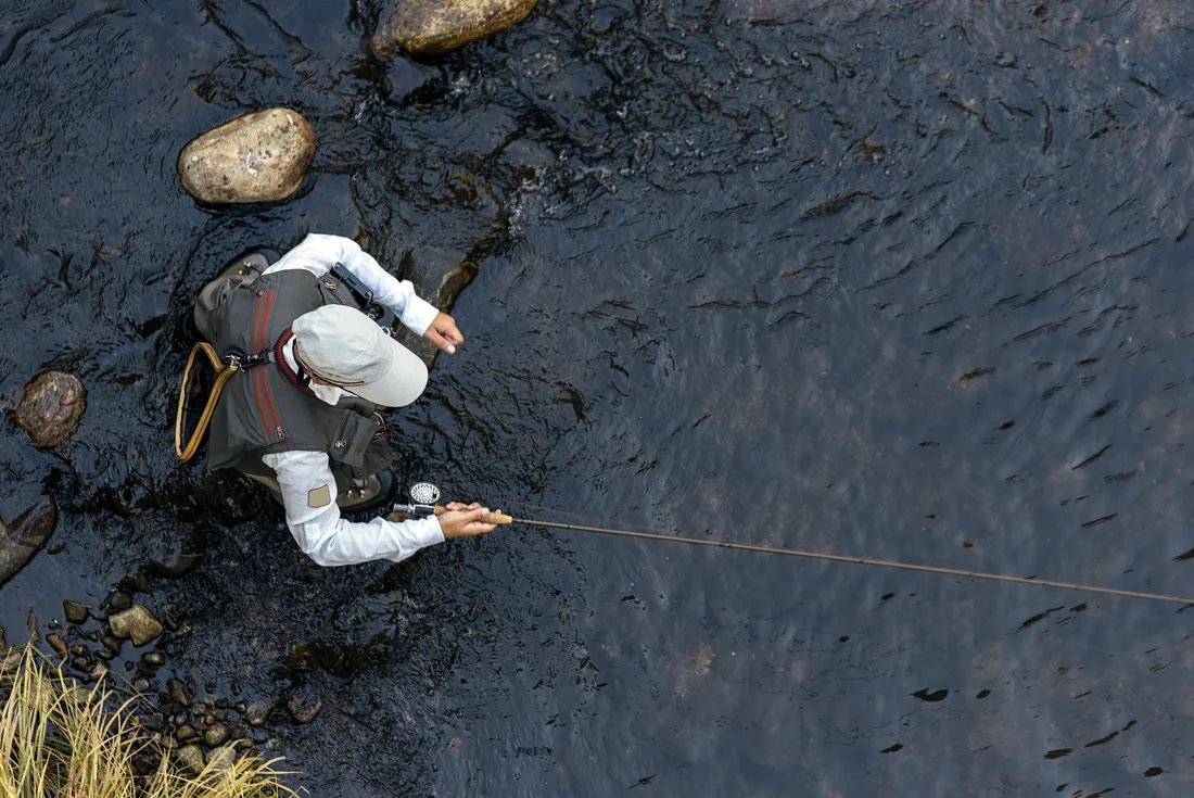 Fly fisher casting in a dark river, seen from above
