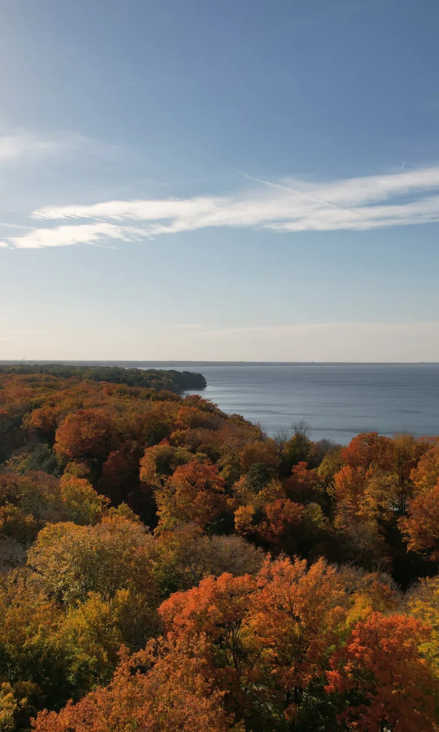 Autumn forest above a lake at sunset
