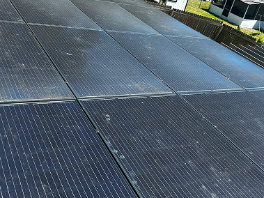 Solar panel cleaning in Tempa Bay