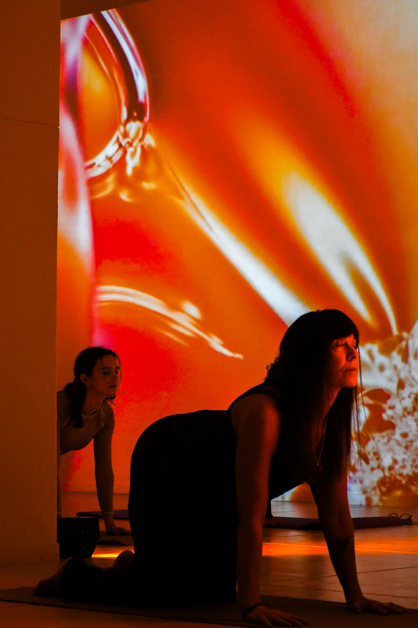 YOGA IN LIGHT: Yoga & Friends