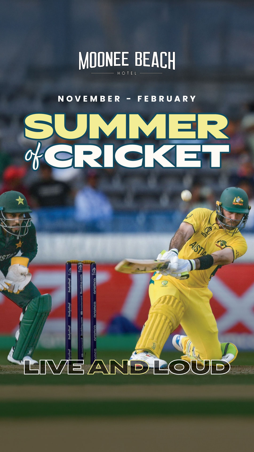 Summer of Cricket