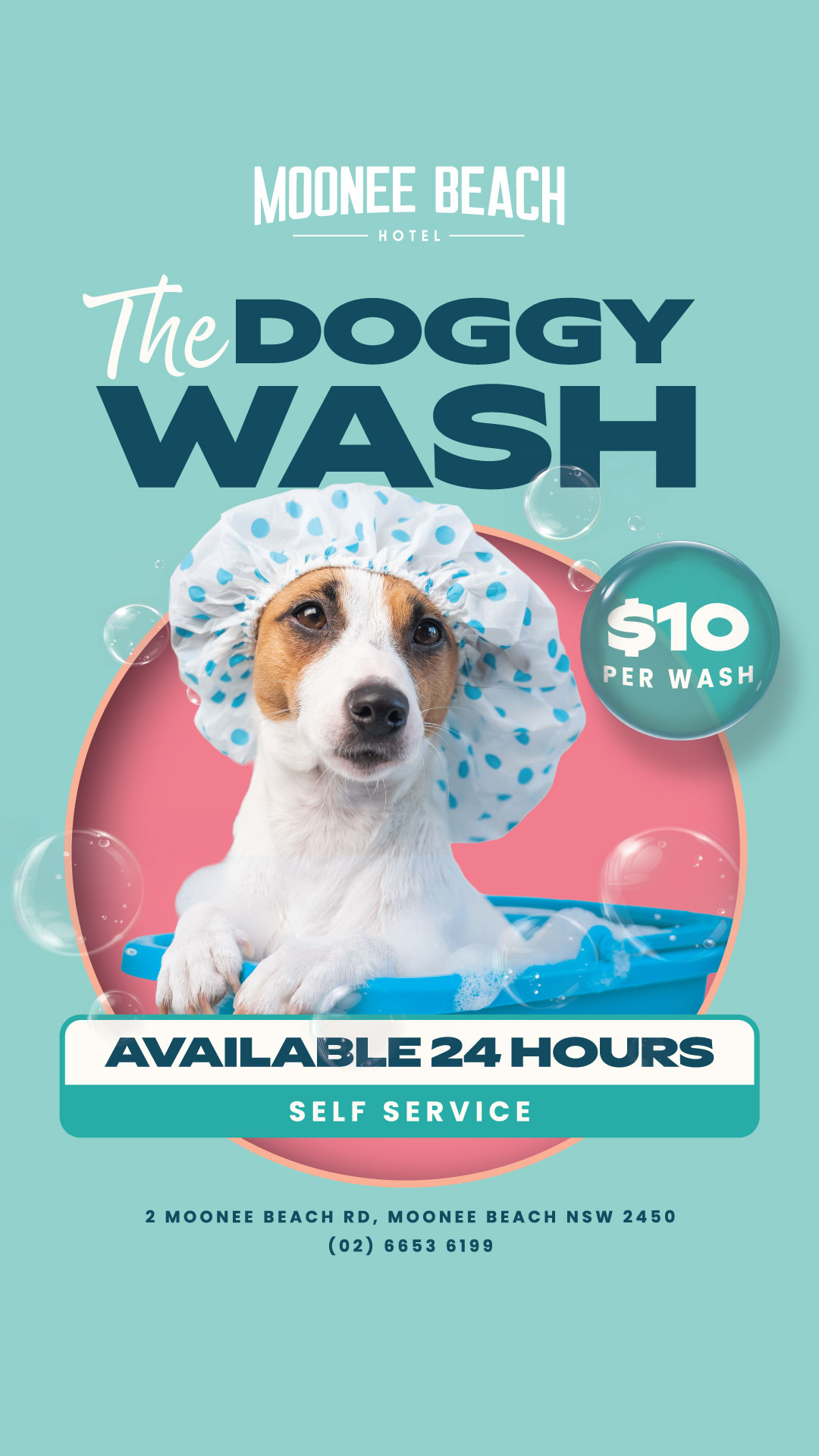 The Doggy Wash