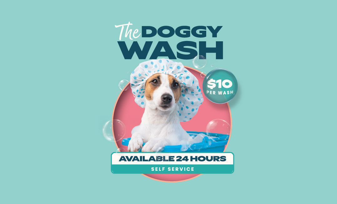 The Doggy Wash