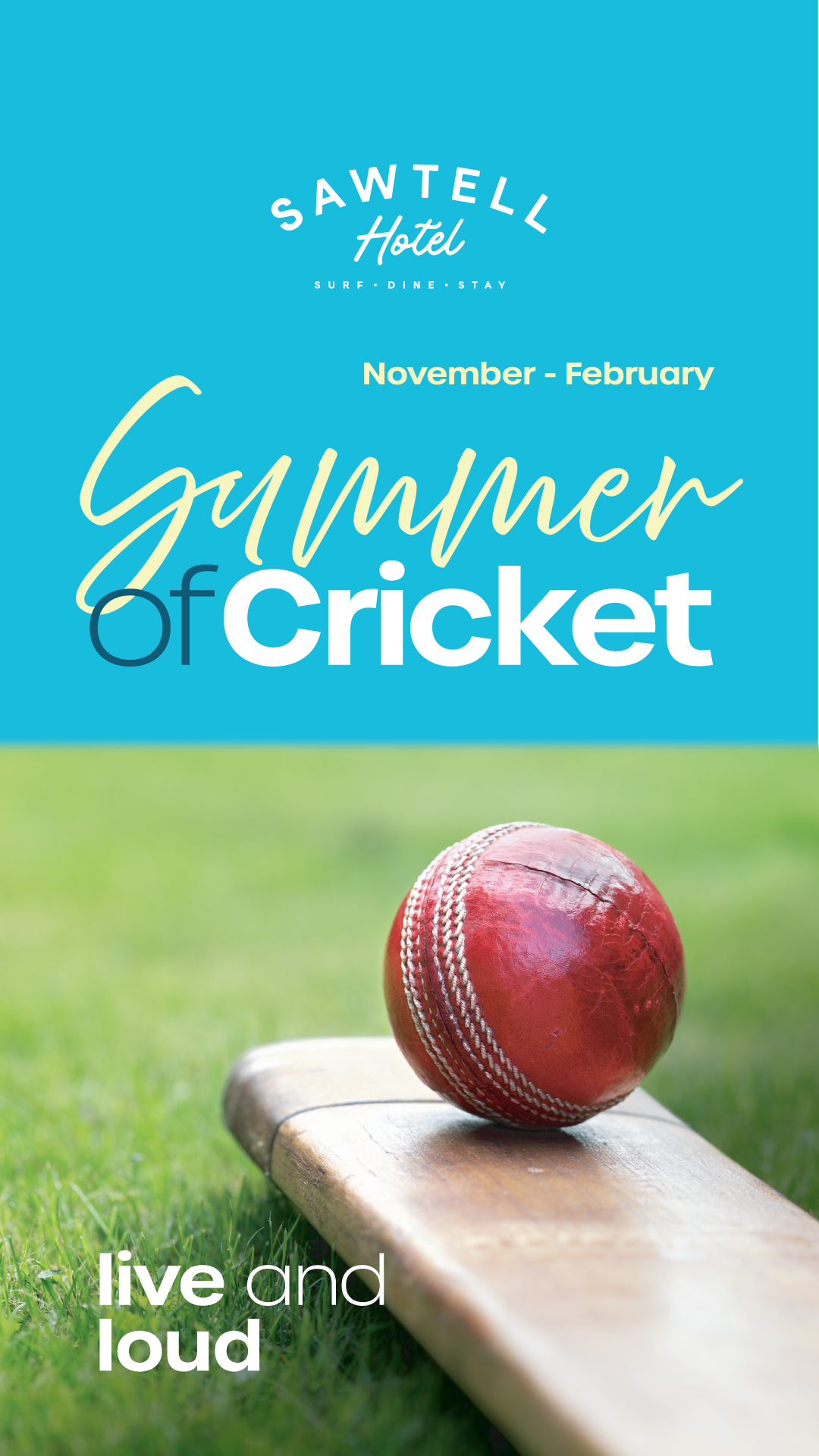 Summer of Cricket