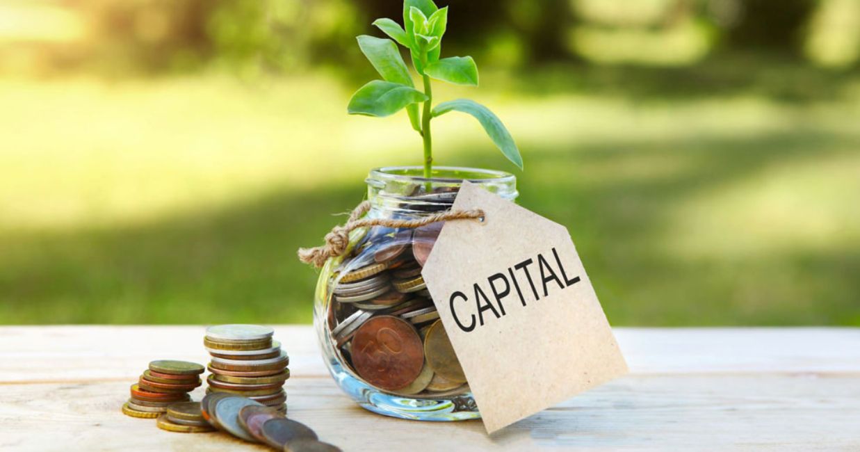 Glass jar filled with coins and a small green plant growing from it, labeled with a tag that reads 'CAPITAL', next to stacks of coins on a wooden surface.