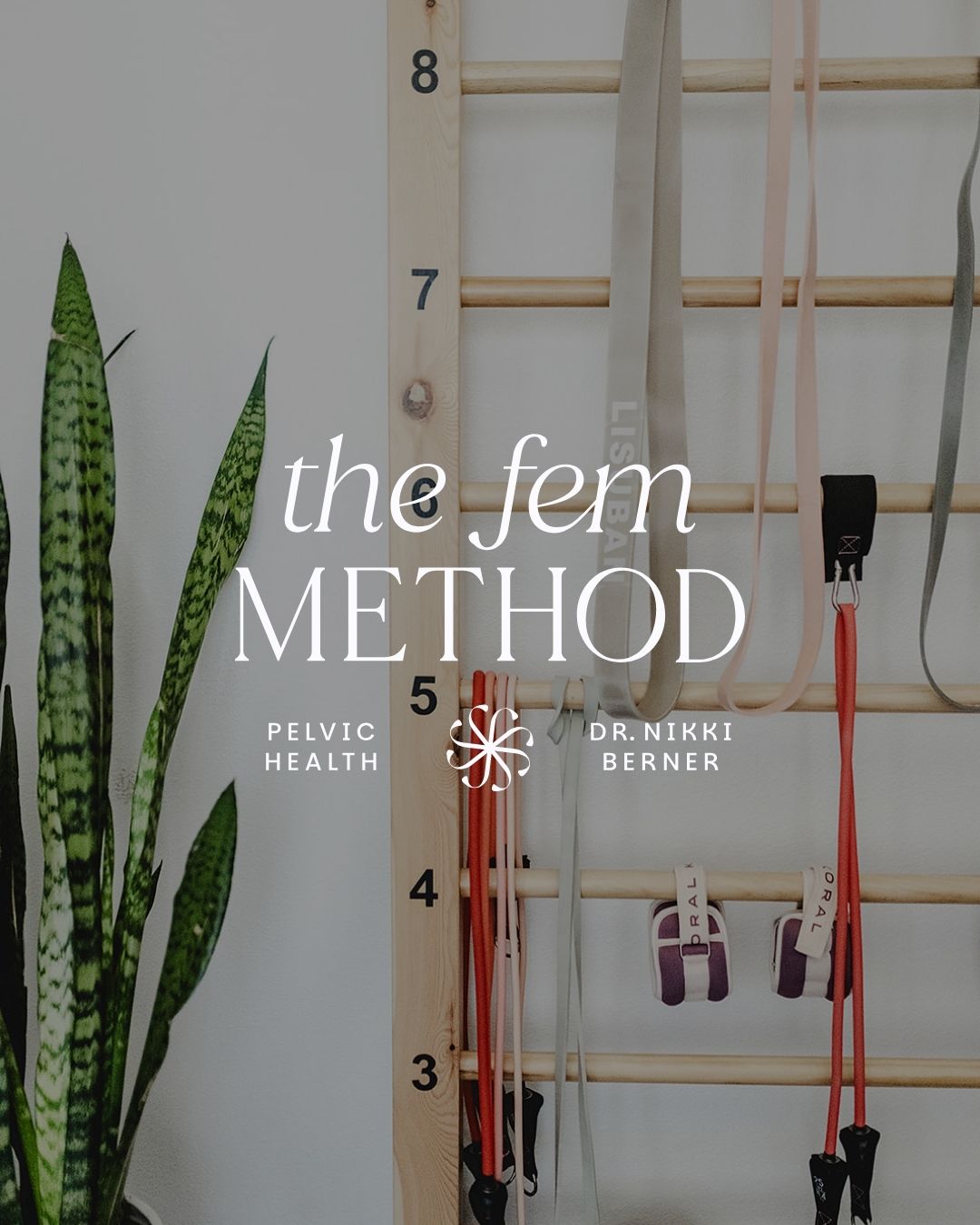 The Fem Method brand photography with colorful southern design aesthetic