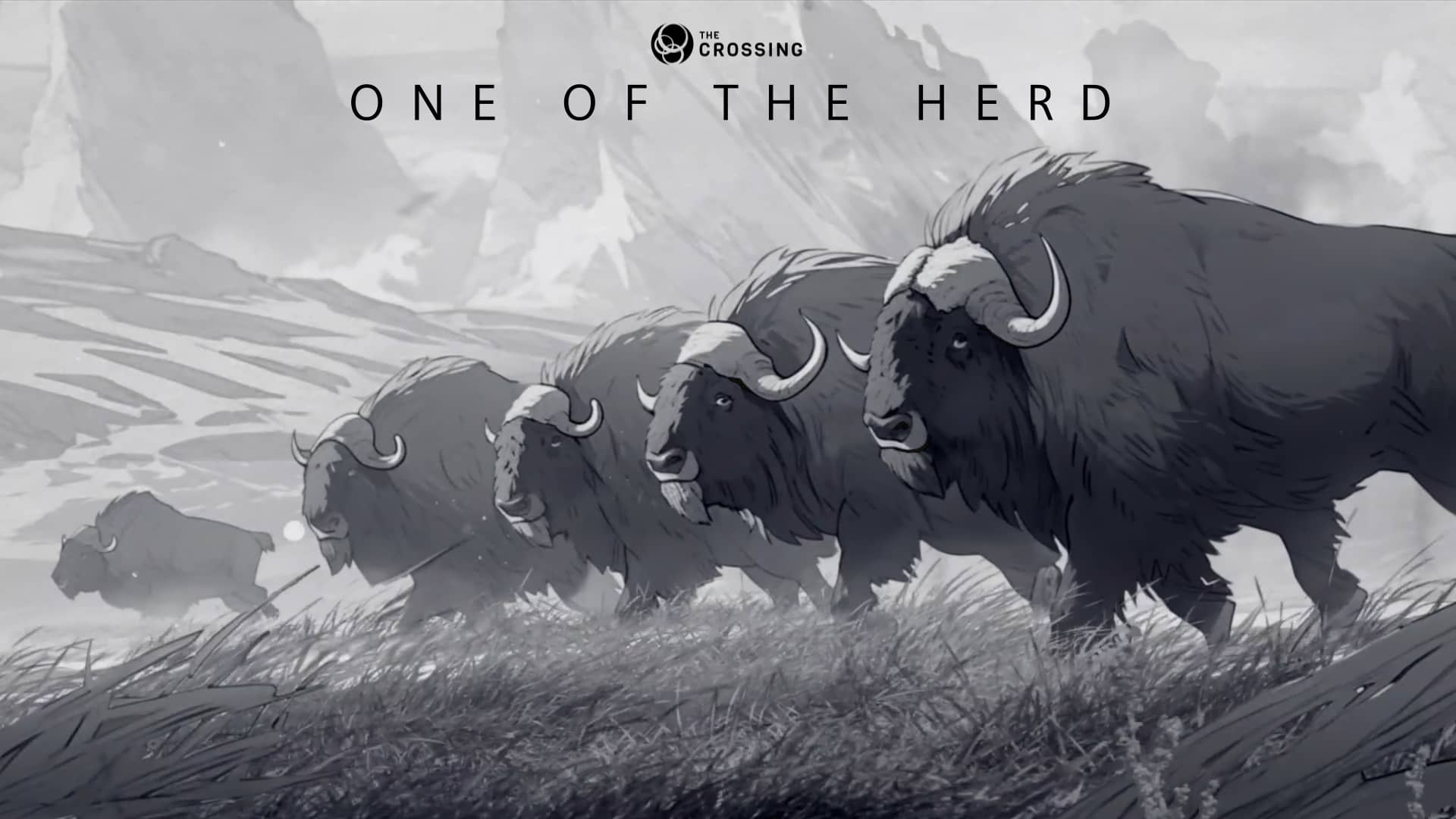 Animated video for The Crossing church featuring hand drawn animations of American bison, Musk Ox, and wolves