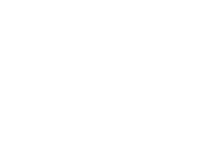 Mentor