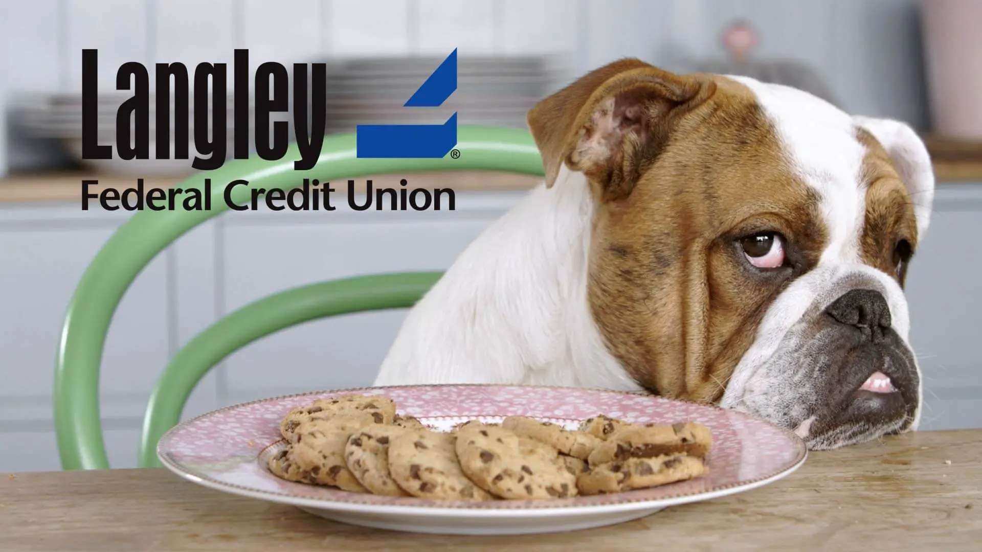 TV commercial for financial services company Langley featuring dogs resisting food temptation.