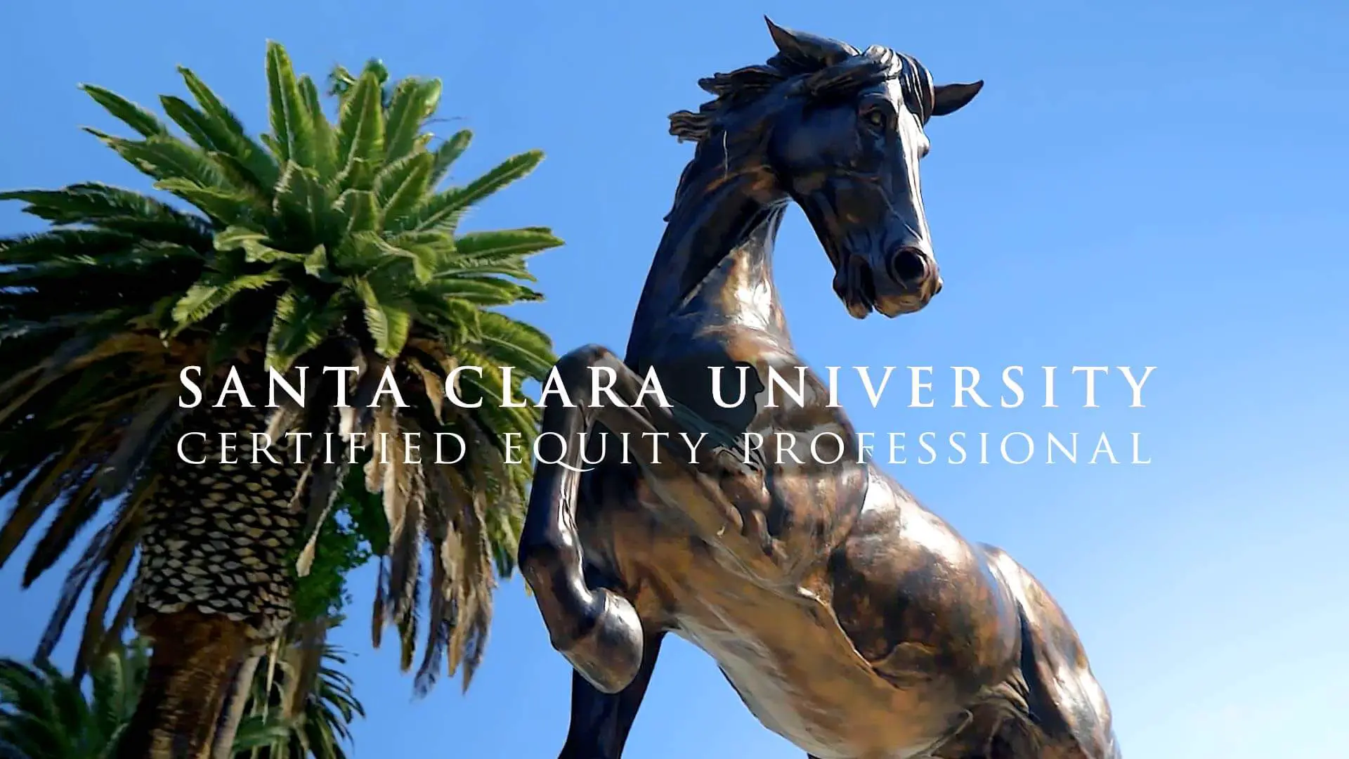 Testimonial video for CEP Institute featuring AppDynamics success story.