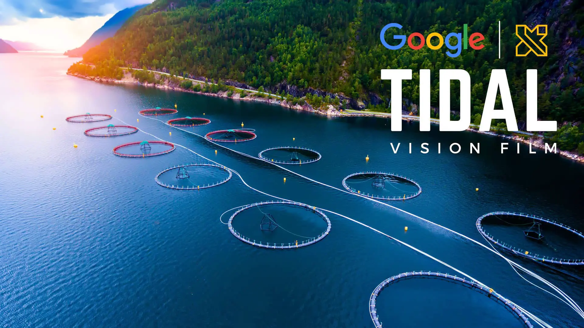 Brand video highlighting Google X's Tidal project and its ocean data technology for sustainable fishing
