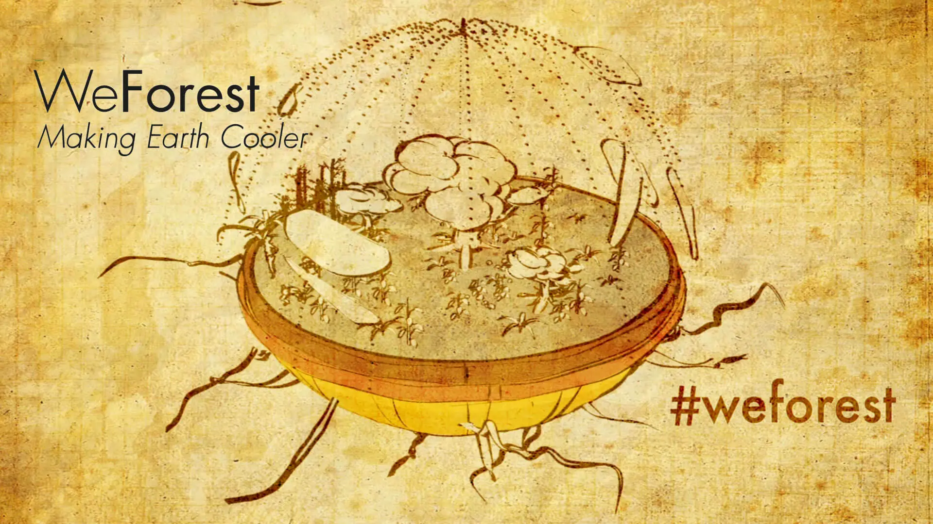 Animated sketch of Earth with a growing tree for WeForest animated promo video.