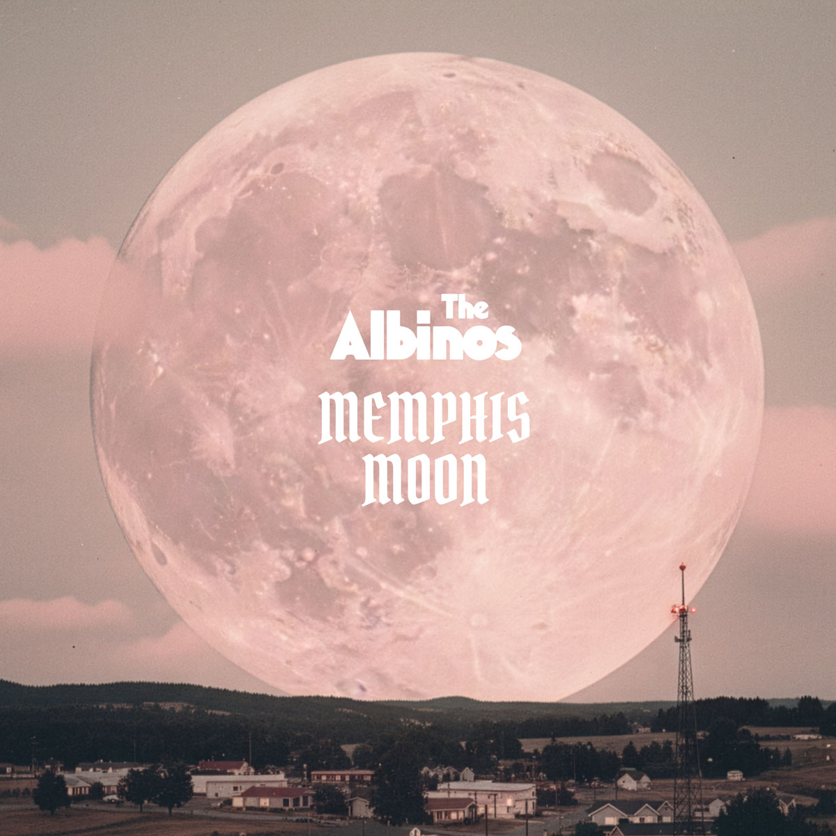 The Albinos - All The Lines Cover