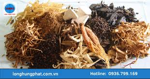 Gửi thuốc nam đi Úc tại Long Hưng Phát giá có cao không ? - 650852