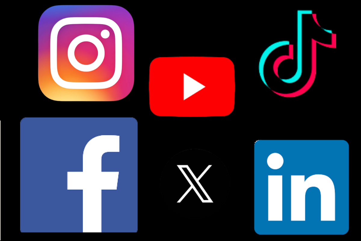Which Social Media Platform Should My Business Use?