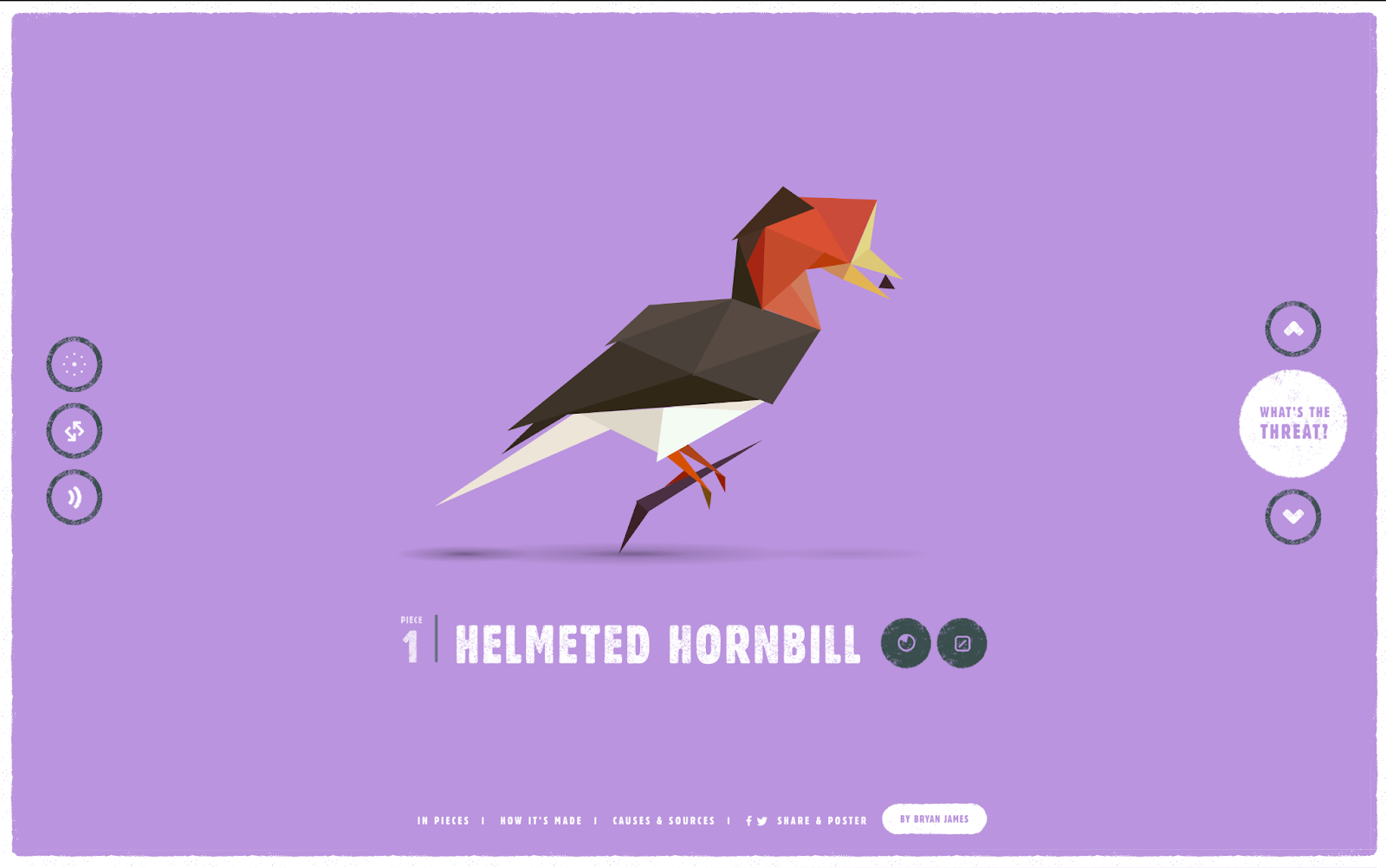 Species in Pieces animation style websites