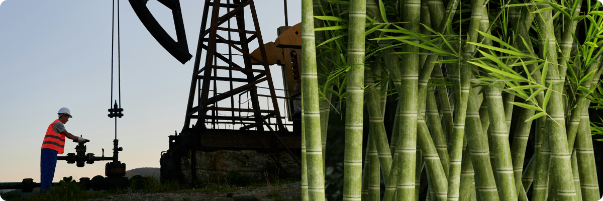 Bioplastics versus fossil fuel derived plastics