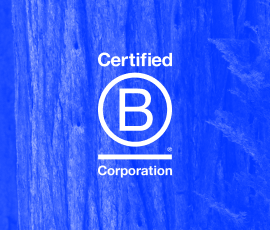 B Corporation