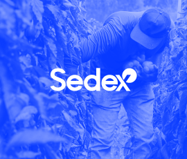 SEDEX
