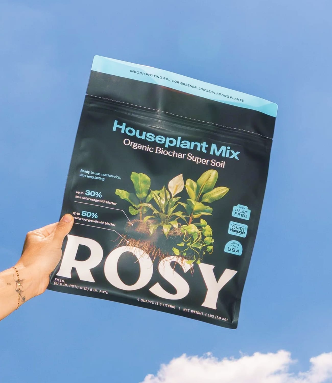 Rosy Houseplant Mix pouch held up against a blue sky