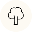 icona albero