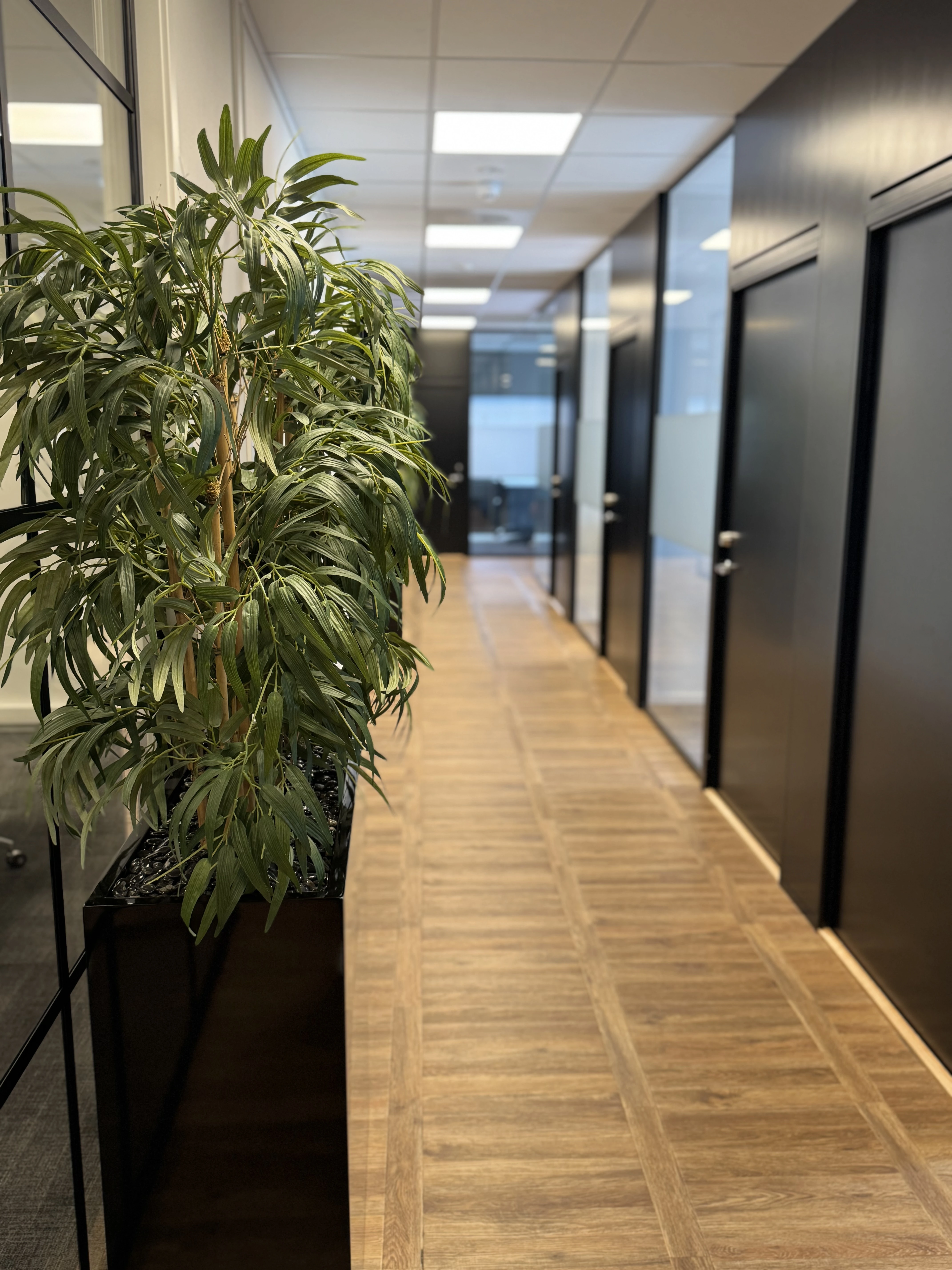 B30 korridor med plante