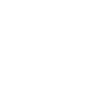 cyberwolves logo