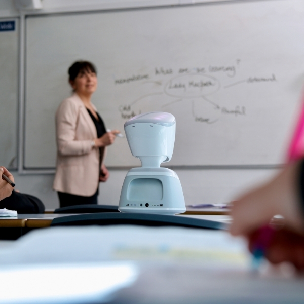 Safeguarding features