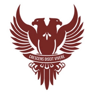 A Gradual Pathway Back to Lessons Using AV1 Robots