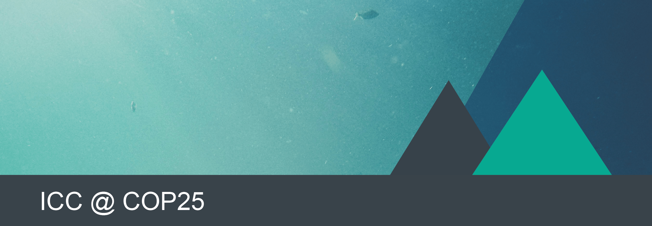 ICCs huvudbudskap under COP25: vi behöver snabbare och mer långtgående klimatåtgärder!