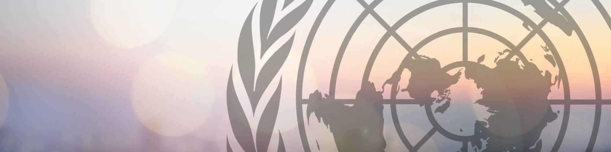 Susanna Zeko talar vid FN:s högnivåmöte för hållbar utveckling