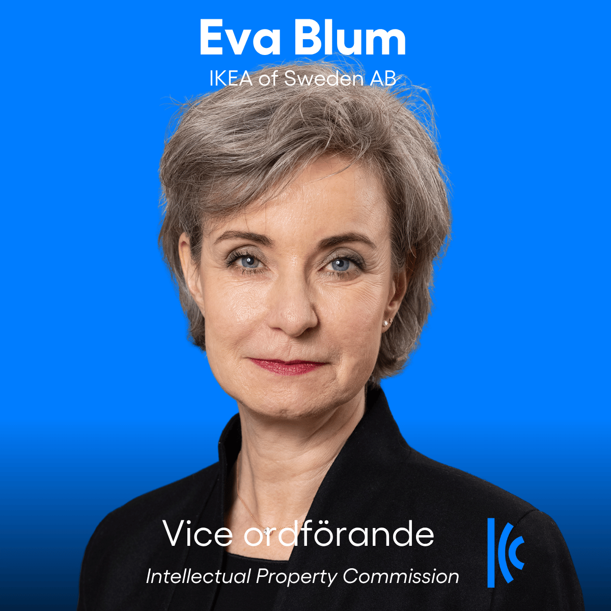 Eva Blum utses till vice ordförande i ICC:s globala immaterialrättskommission