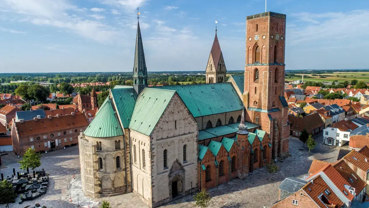 Ribe Cathedral - North Gate