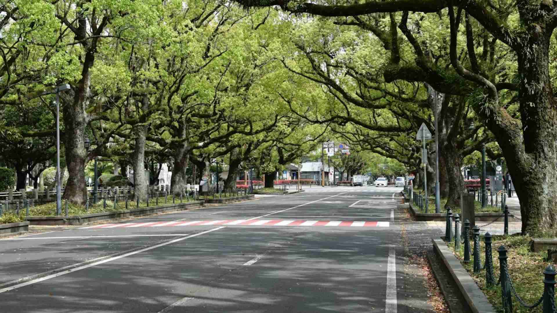 Avenida da Liberdade