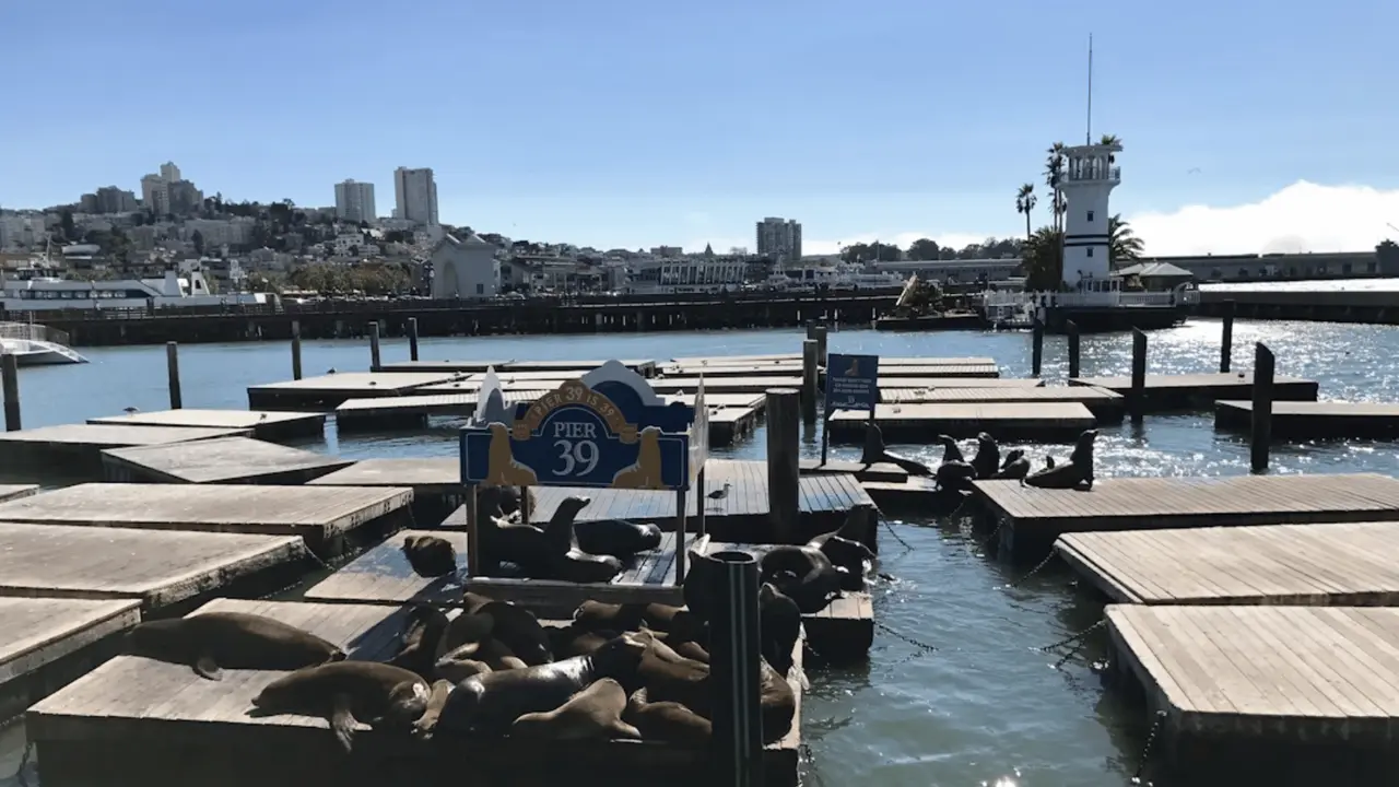 Fisherman’s Wharf