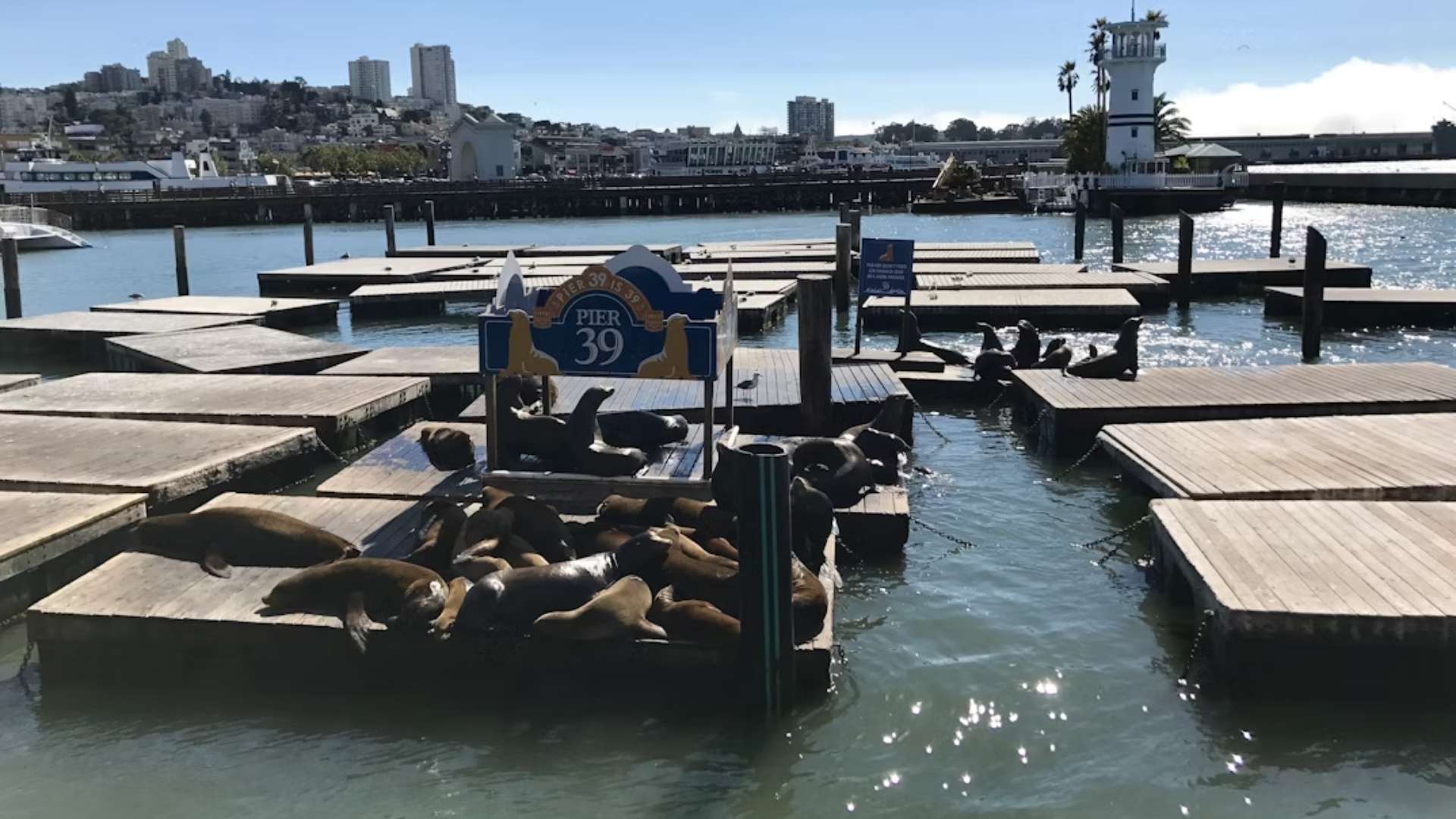 Fisherman’s Wharf