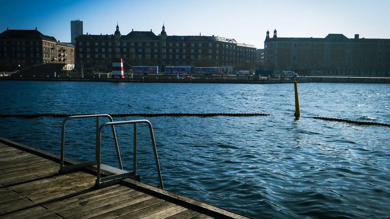 Water quality predictor