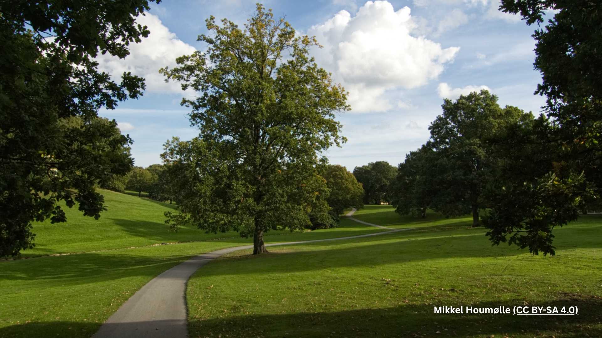 Aarhus University Park