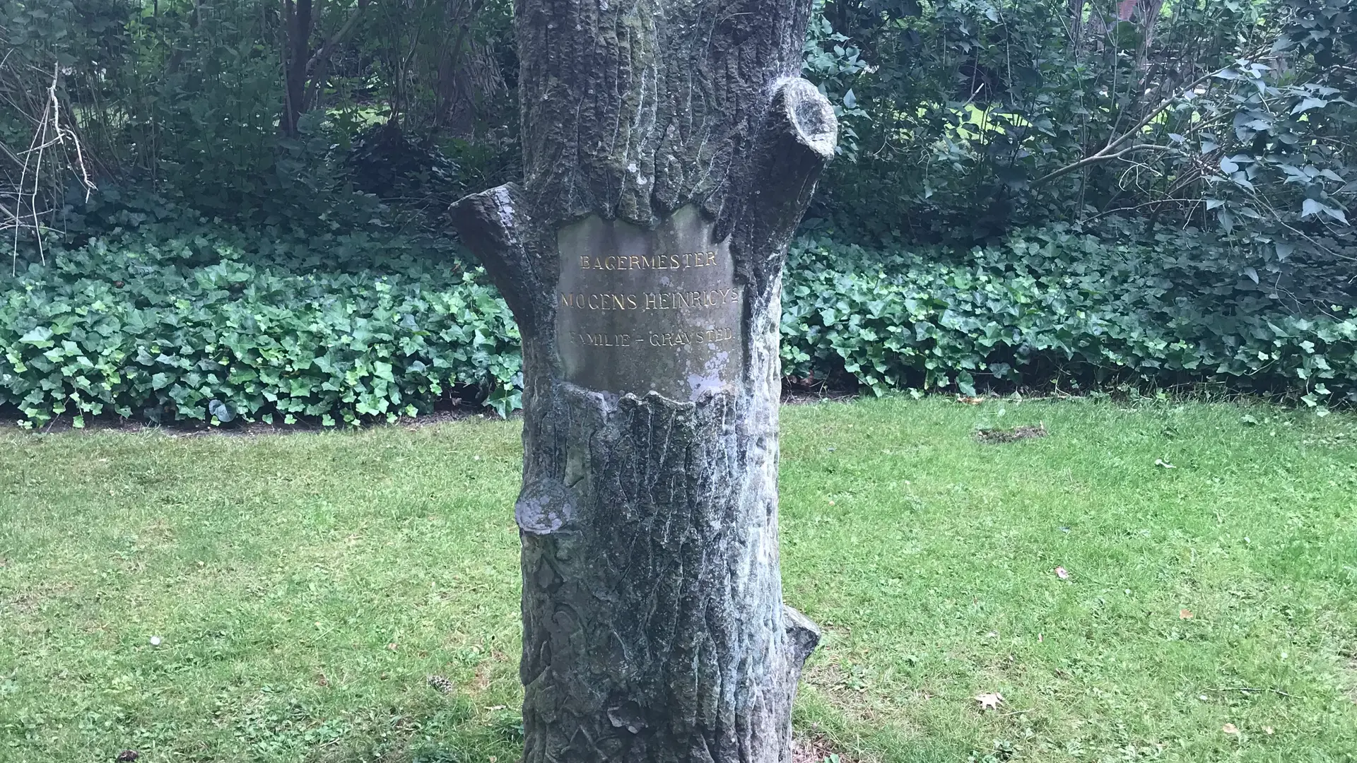 Mellem himmel og jord