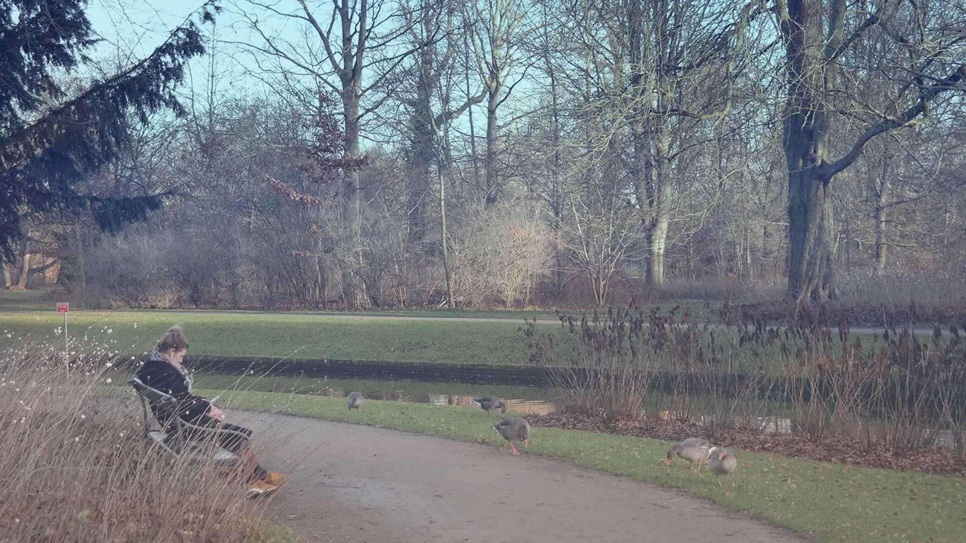 Den grimme ælling del 1