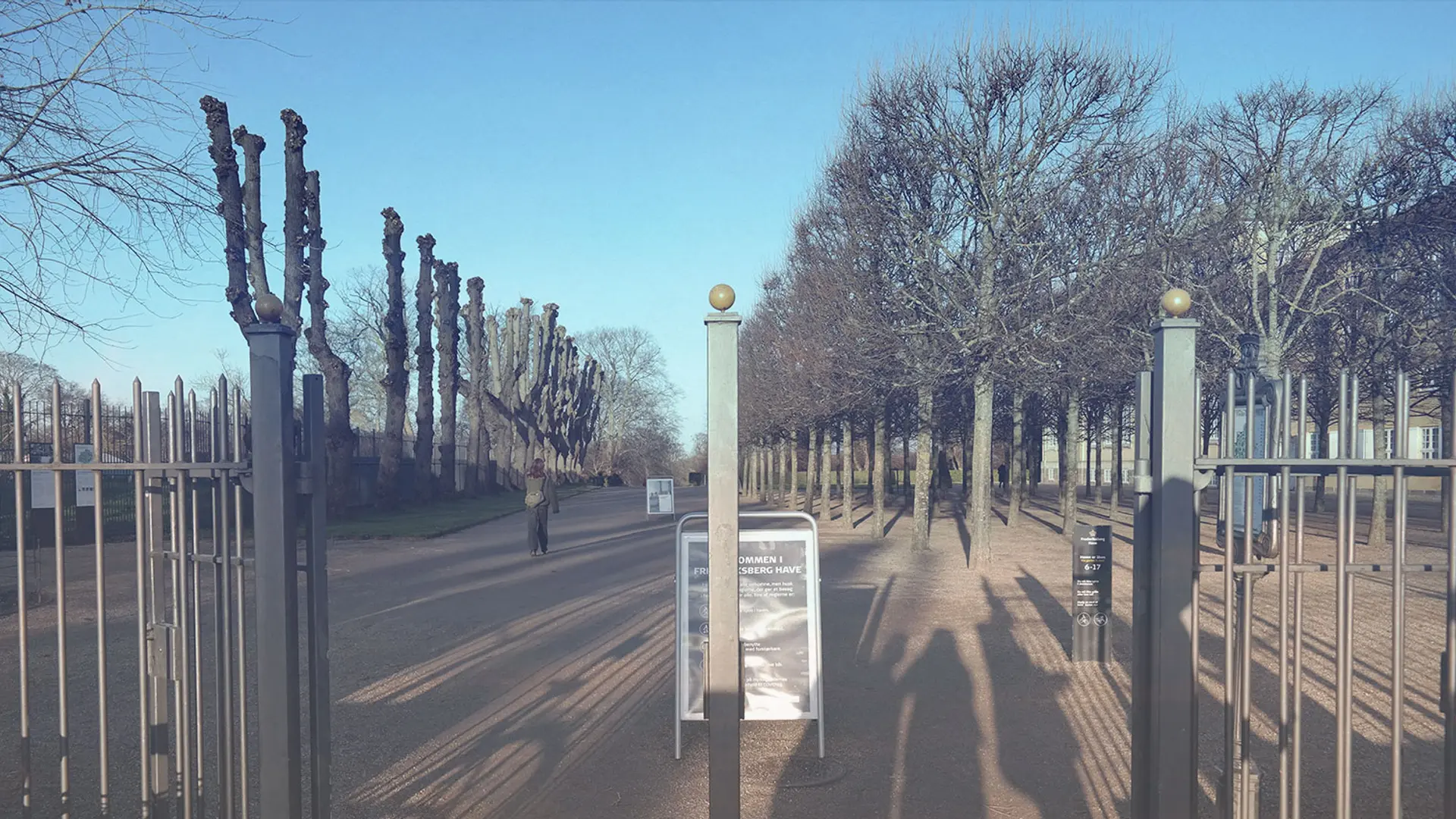 Her starter drømmene