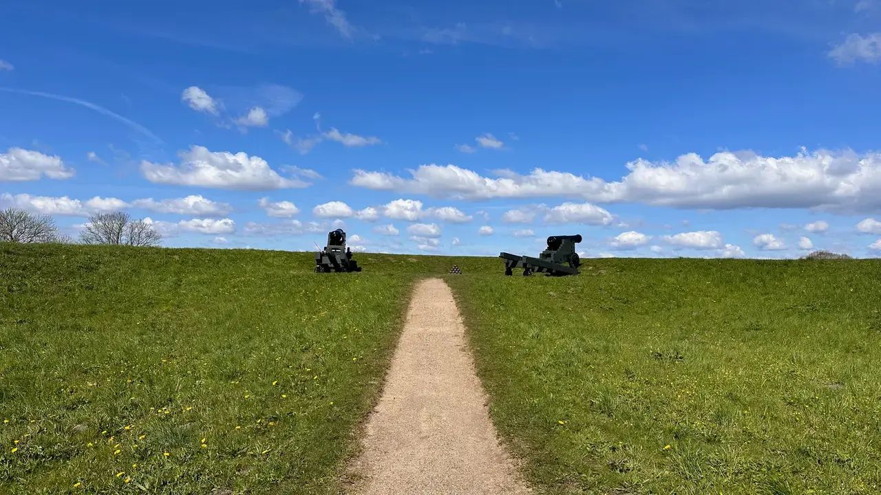 The Civil War in Denmark