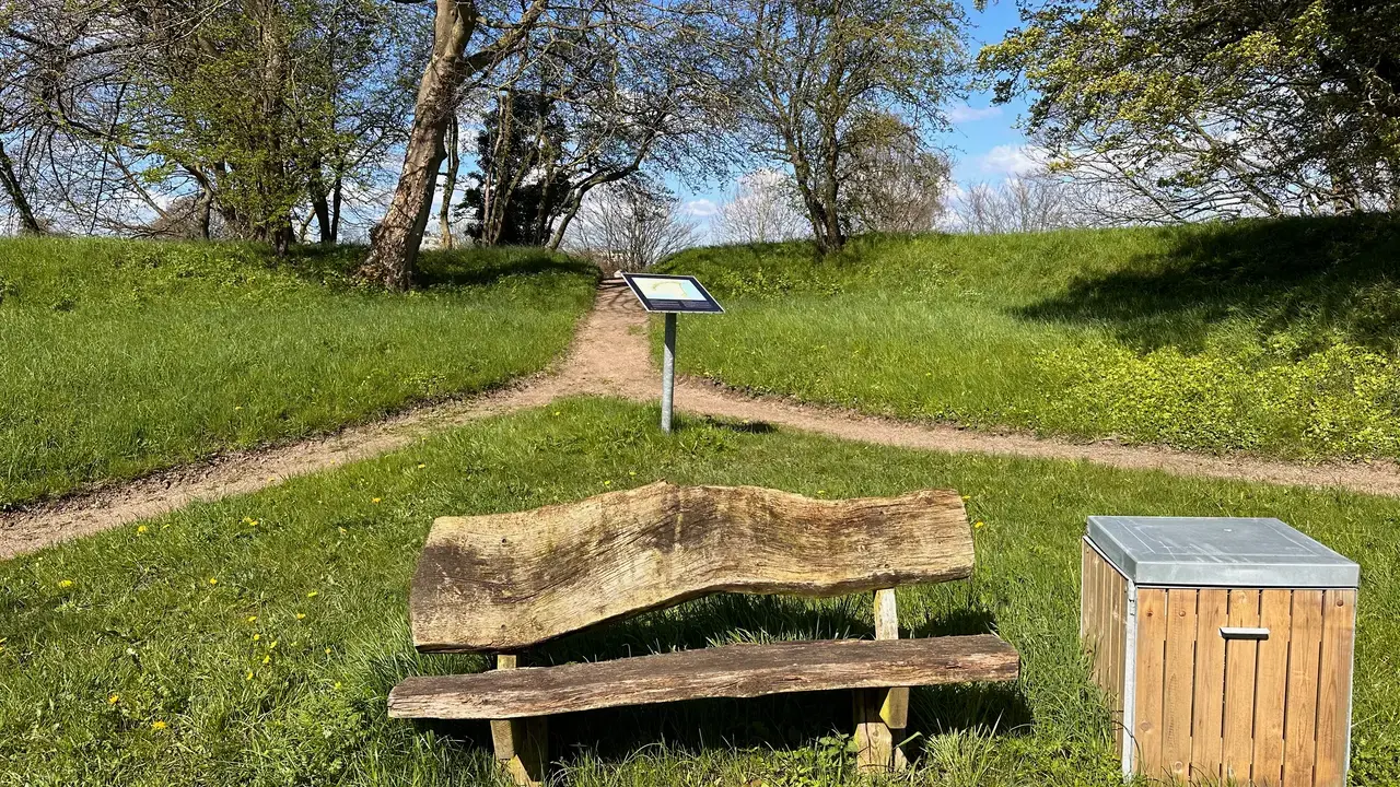 The Danes Are Coming