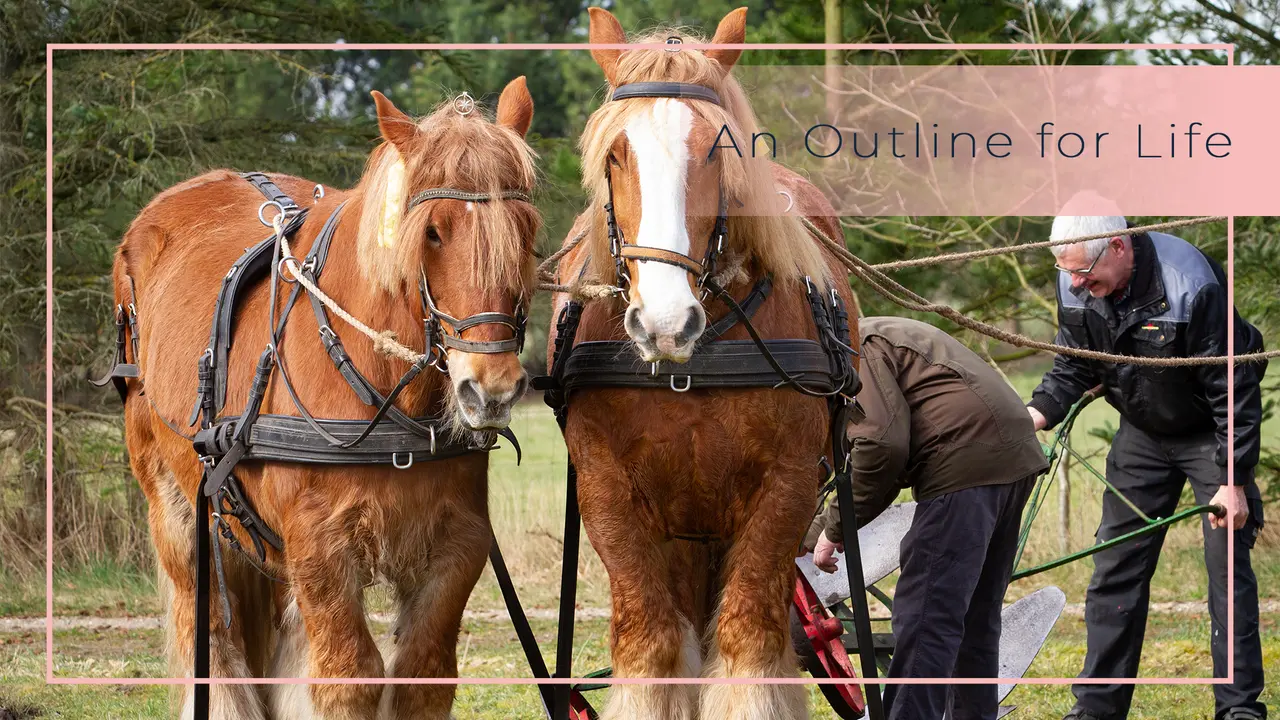 The Planned Landscape