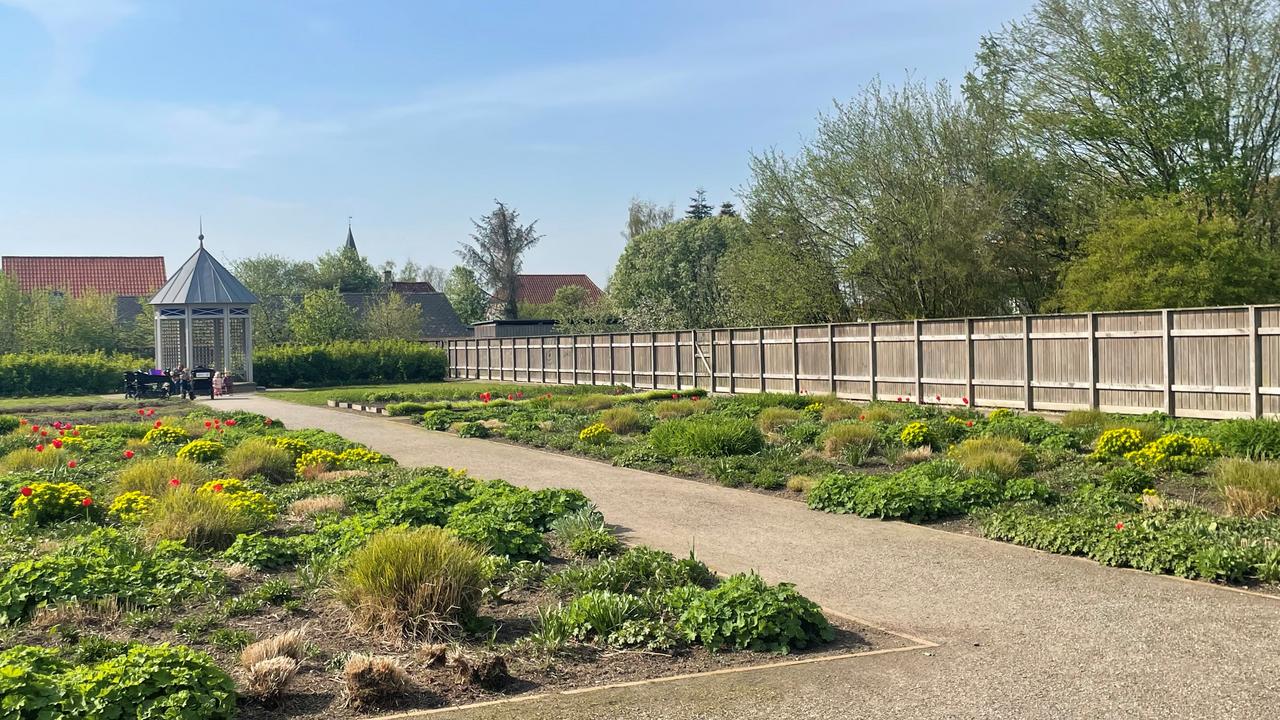 From Garden to School Thoughts