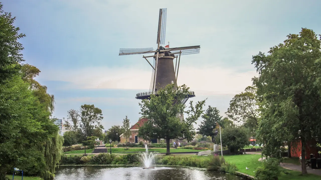 Enter Leiden's History