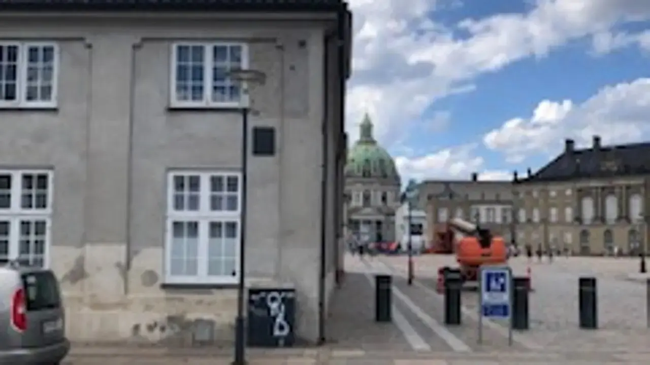 The Battle of Amalienborg