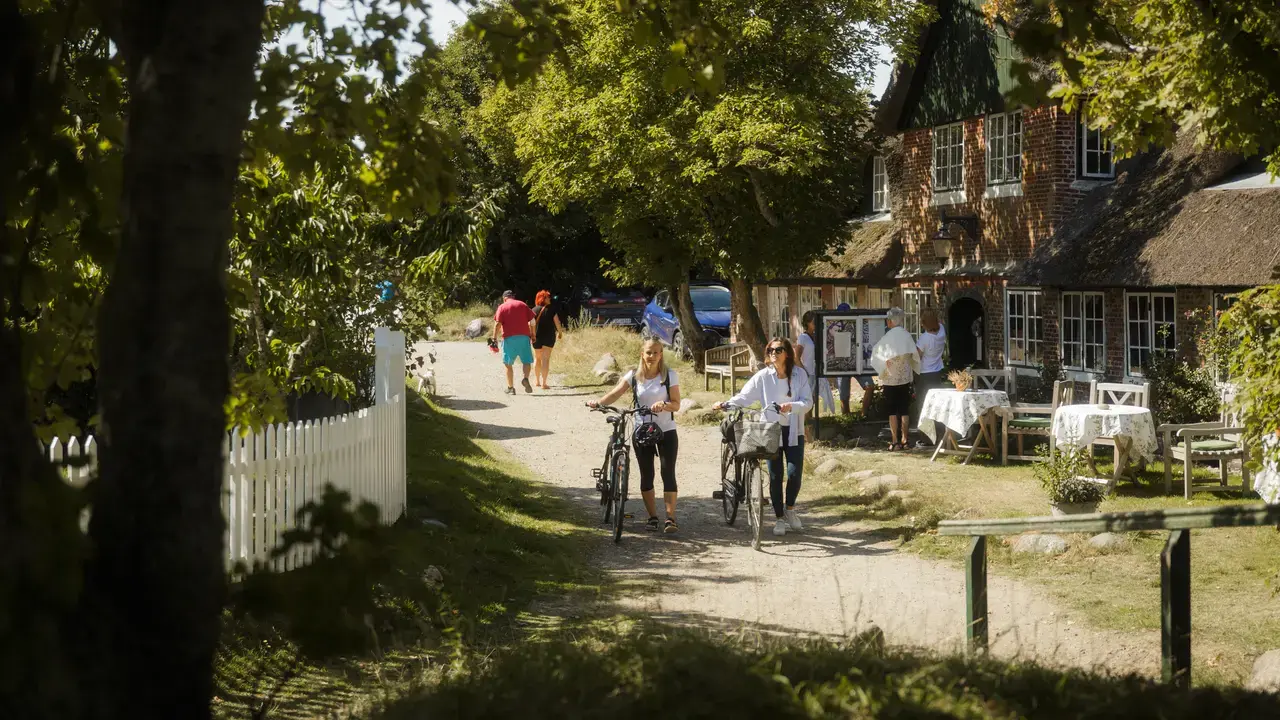 Danish Wheelness, Fanø (bike)