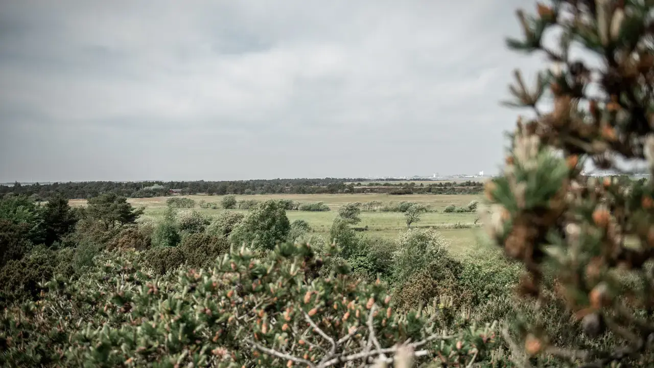 Klingebjerg Fanø